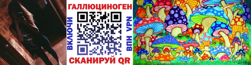 Купить закладки  Старица  Псилоцибиновые грибы мухоморы 