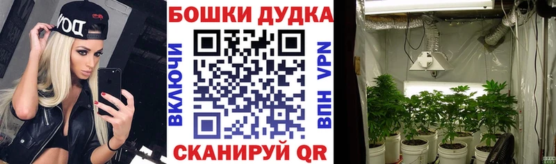 Купить  Старица  Конопля THC 21% 